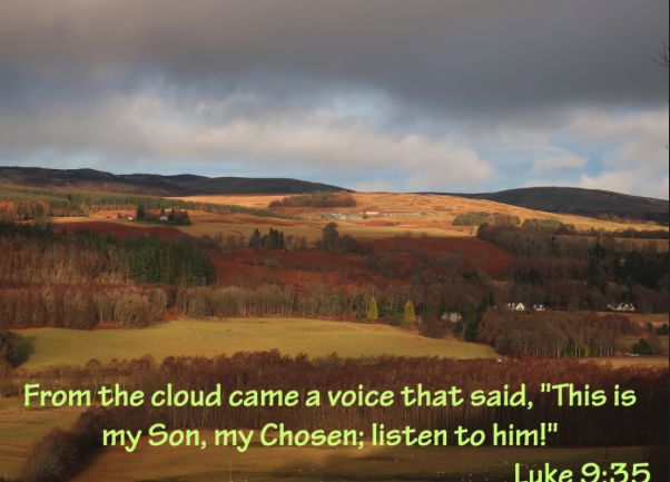 The Worship Service for the Sixth Sunday after the Epiphany, February 15, 2026 at 10:00am